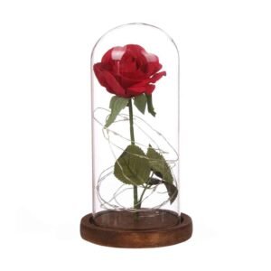 LED Enchanted Rose in Glass Dome Light Up Artificial Flower Gift Valentine Anniversary